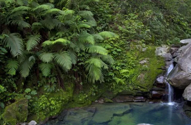 Hotel La Mansion San Jose de las Matas Dominican Republic